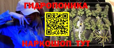 амф Пенза