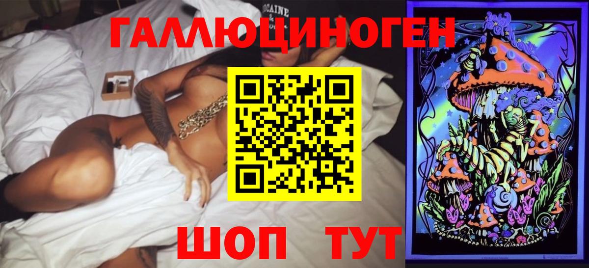 Северск  Псилоцибиновые грибы MAGIC MUSHROOMS  Вход с VPN 