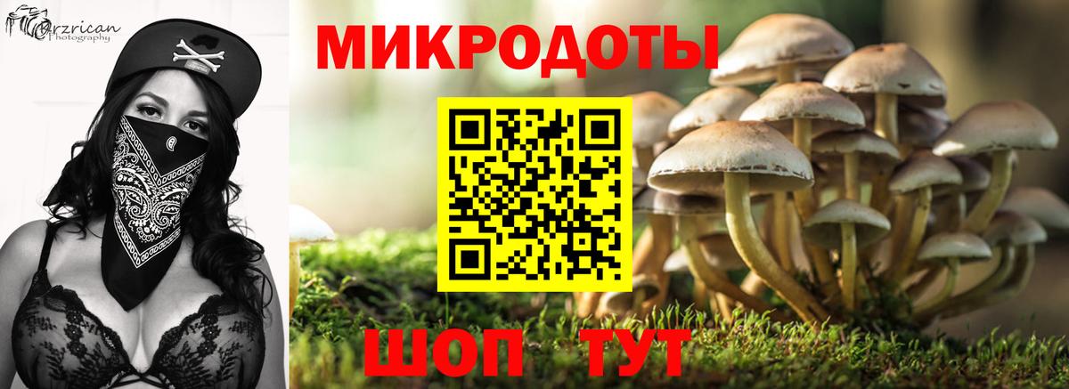 Галлюциногенные грибы ЛСД Северск